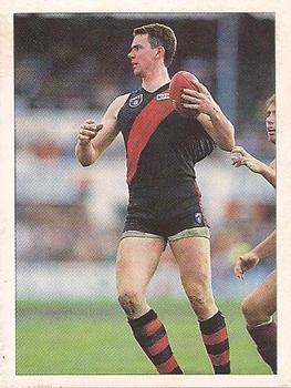 1992 Select AFL Stickers #77 Paul Salmon Front